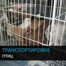 Перевезення масла