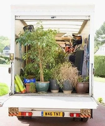 Перевезення квітів, поради та рекомендації (квітів) Перевезення квітів, поради та рекомендації