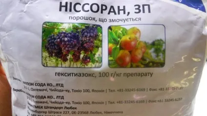 Павутинний кліщ на смородині як боротися і швидко позбутися (кліщ) Павутинний кліщ на смородині як боротися і швидко позбутися