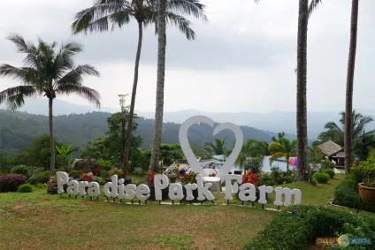Paradise park farm на Самуї, своїм ходом (розваги) Paradise park farm на Самуї, своїм ходом