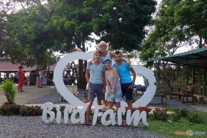 Paradise park farm на Самуї, своїм ходом (park) Paradise park farm на Самуї, своїм ходом
