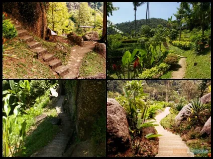 Paradise park farm на Самуї, своїм ходом (koh samui) Paradise park farm на Самуї, своїм ходом