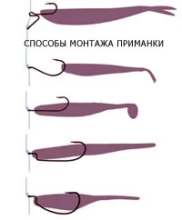 Пірайба риба на що ловити на сайті (риба) Пірайба риба на що ловити на сайті