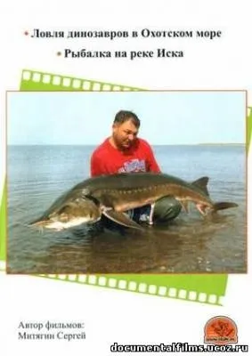 Пірайба риба на що ловити на сайті (риба) Пірайба риба на що ловити на сайті