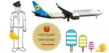 Пілотний проект що їдять льотчики, edagoroda (льотчики) Пілотний проект що їдять льотчики, edagoroda