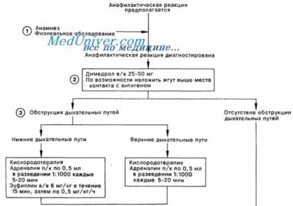 Перша допомога при анафілактичному шоці у пацієнта в стоматології (перша) Перша допомога при анафілактичному шоці у пацієнта в стоматології