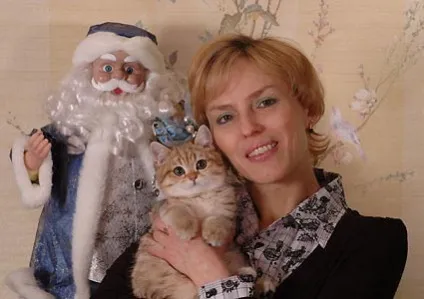 Розплідник британських короткошерстих кішок miracle cats олени посланіченко 8-905-572-70-72 (британських) Розплідник британських короткошерстих кішок miracle cats олени посланіченко 8-905-572-70-72