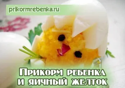 Перший прикорм і жовток