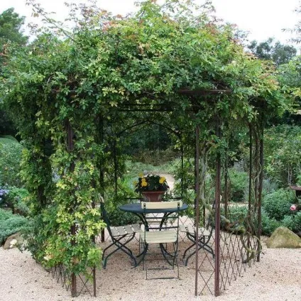 Плануємо дизайн саду взимку - кращі ідеї і фото на 2016 рік (фото) Плануємо дизайн саду взимку - кращі ідеї і фото на 2016 рік