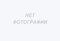 Платний прийом отоларинголога в медичному центрі «світу» за оптимальною ціною, лікар-отоларинголог в (центрі) Платний прийом отоларинголога в медичному центрі «світу» за оптимальною ціною, лікар-отоларинголог в