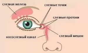 Чому ми плачемо