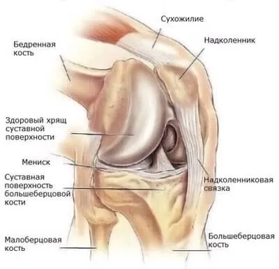 Чому болять коліна після бігу і під час нього, самостійне діагностування (бігу) Чому болять коліна після бігу і під час нього, самостійне діагностування