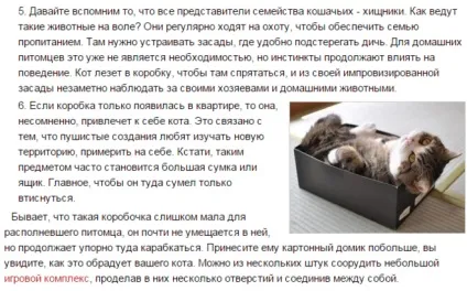 Чому кішки люблять ховатися в картонних коробках (кішки) Чому кішки люблять ховатися в картонних коробках