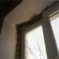 Чому відмовляються від пластикових вікон, пластикові вікна - матеріали, монтаж, види, ціни та відгуки (чому) Чому відмовляються від пластикових вікон, пластикові вікна - матеріали, монтаж, види, ціни і відгуки