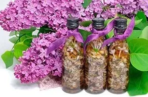 Подагра лікування травами для ефективної боротьби з хворобою