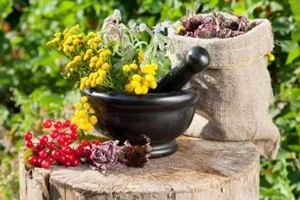 Подагра лікування травами для ефективної боротьби з хворобою