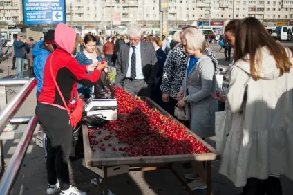 Чому не можна купувати черешню у метро - новини Харкова - громадський контроль (громадський) Чому не можна купувати черешню у метро - новини Харкова - громадський контроль