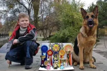 Підготовка дітей на конкурси дитина і собака і юний хендлер - dogstar клб - хендлінг, дресура, (хендлінг) Підготовка дітей на конкурси дитина і собака і юний хендлер - dogstar клб - хендлінг, дресура,