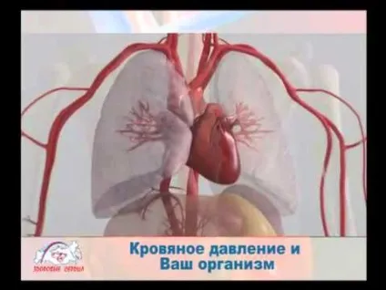 Чому вночі піднімається артеріальний тиск і як лікувати (артеріальний) Чому вночі піднімається артеріальний тиск і як лікувати