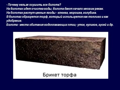 Чому не можна осушити всі болота - презентація 94345-13 (водойми) Чому не можна осушити всі болота - презентація 94345-13
