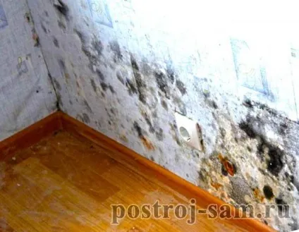 Чому взимку мокнуть стіни