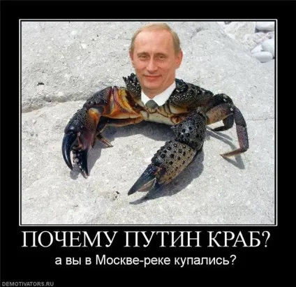 Чому я така дурна, або що люди шукають в google - флудилка - країна мам (google) Чому я така дурна, або що люди шукають в google - флудилка - країна мам