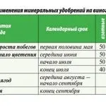 Підживлення лохини садової ранньою весною, восени і влітку оцтом і лимонною кислотою, електролітом (калійні фосфорні добрива) Підживлення лохини садової ранньою весною, восени і влітку оцтом і лимонною кислотою, електролітом