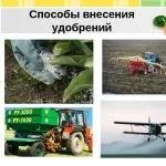 Підживлення лохини садової ранньою весною, восени і влітку оцтом і лимонною кислотою, електролітом (електролітом) Підживлення лохини садової ранньою весною, восени і влітку оцтом і лимонною кислотою, електролітом