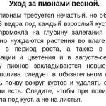 Підживлення лохини садової ранньою весною, восени і влітку оцтом і лимонною кислотою, електролітом (голубики) Підживлення лохини садової ранньою весною, восени і влітку оцтом і лимонною кислотою, електролітом