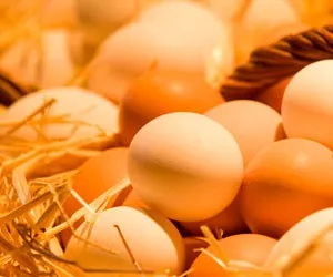 Корисні продукти харчування при панкреатиті (панкреатиті) Корисні продукти харчування при панкреатиті