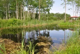 Детальніше про санаторії, санаторій «нове джерело» г (санаторій) Детальніше про санаторії, санаторій «нове джерело» г