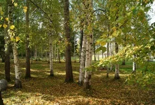 Детальніше про санаторії, санаторій «нове джерело» г (Санаторій «Нове джерело») Детальніше про санаторії, санаторій «нове джерело» г