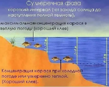 Погода для лову карася опади, тиск та інші фактори (тиск) Погода для лову карася опади, тиск та інші фактори