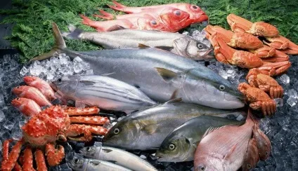 Корисні якості риби і якість риби на прилавках (якість) Корисні якості риби і якість риби на прилавках