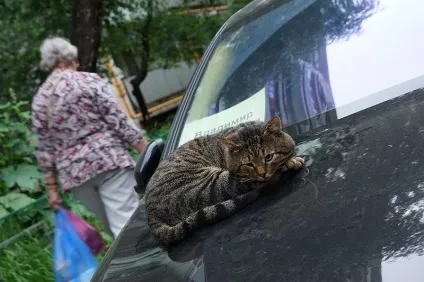 поговоримо відверто
