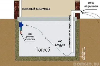 Льох на присадибній ділянці, види погребів, матеріали для будівництва, вибираємо місце для (ділянці) Льох на присадибній ділянці, види погребів, матеріали для будівництва, вибираємо місце для
