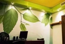 Стелі в офісних приміщеннях види, висота, монтаж сучасного, світильник, варіанти високого, (стелі в офісних приміщеннях) Стелі в офісних приміщеннях види, висота, монтаж сучасного, світильник, варіанти високого,