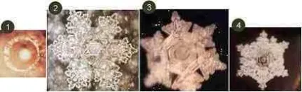 Користь води, вплив води на організм, пам'ять води, Емото Масару, думка і вода, лікування водою (води) Користь води, вплив води на організм, пам'ять води, Емото Масару, думка і вода, лікування водою