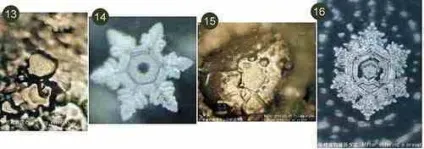 Користь води, вплив води на організм, пам'ять води, Емото Масару, думка і вода, лікування водою (організм) Користь води, вплив води на організм, пам'ять води, Емото Масару, думка і вода, лікування водою