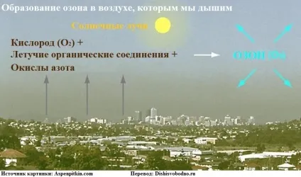 Користь і шкода озону