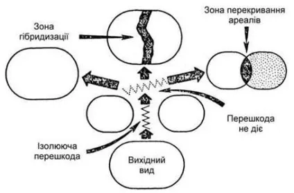 Популяція як структурно-функціональна одиниця виду - концепції виду і популяції - основи