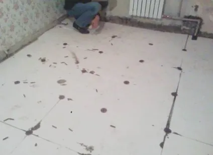Підлоги по грунту правильний пиріг підлоги своїми руками відео (правильний) Підлоги по грунту правильний пиріг підлоги своїми руками відео