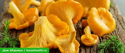 20 Натуральних продуктів, що знищують паразити і грибки в організмі (продуктів) 20 Натуральних продуктів, що знищують паразити і грибки в організмі