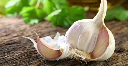 20 Натуральних продуктів, що знищують паразити і грибки в організмі (знищують) 20 Натуральних продуктів, що знищують паразити і грибки в організмі
