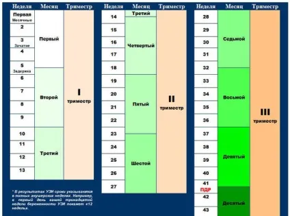 37 Тиждень вагітності болить поміж ніг - причини, наслідки, лікування! (Тиждень) 37 Тиждень вагітності болить поміж ніг - причини, наслідки, лікування!