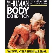 Прага! Все про праге! У Празі пройде виставка the human body exhibition - виставки - прага сьогодні (human) Прага! Все про праге! У Празі пройде виставка the human body exhibition - виставки - прага сьогодні