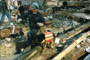 Поведінка, зоопсихология, intelligent dog, сторінка 2 (intelligent) Поведінка, зоопсихология, intelligent dog, сторінка 2