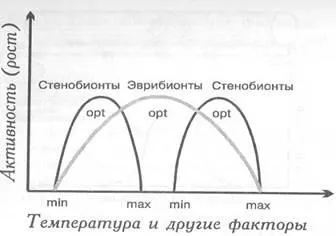 правило оптимуму