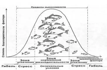 правило оптимуму
