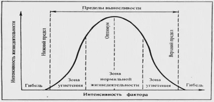 правило оптимуму